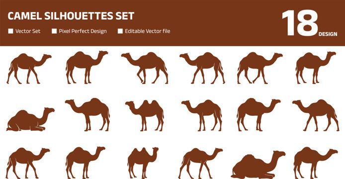 Minimalist collection of camel silhouettes featuring dromedary and bactrian desert animals in walking and resting poses for commercial marketplaces