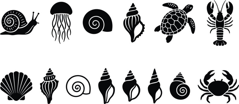 Vector silhouettes set of marine life and seashells including turtle jellyfish lobster crab snail and various sea shells isolated on white background