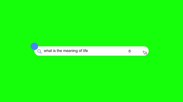 Green Screen Search Bar Animation with Meaning of Life Query