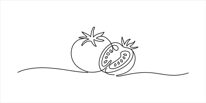 Continuous single line drawing of a fresh tomato and a sliced tomato half showing seeds in a simple minimalist style for healthy food design Vector, illustration
