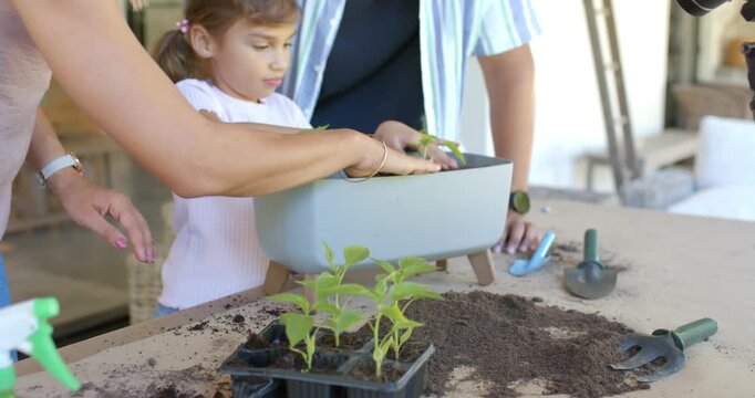 Family planting seedlings, child planting under mom placing planter on patio table, guiding hands