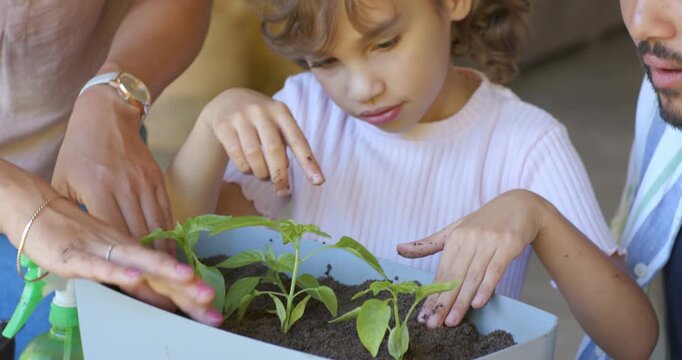 Family teaching child girl, woman wearing watch showing blue planter, child pressing soil on porch