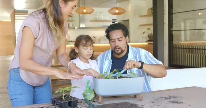 Diverse family gathering to pot plants in open kitchen, man using trowel near planter guiding child
