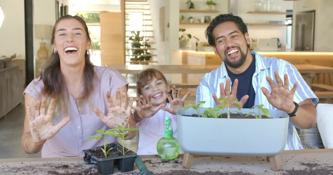 Diverse family planting seedlings after placing trays at home table showing muddy palms for garden