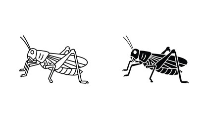 Grasshopper insect silhouette icon set in outline and solid black graphic design for nature study and entomology illustrations © Nova