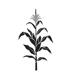 Black silhouette of a corn plant vector. Representing agriculture, farming, and organic food production, ideal for logos and harvest themes © Zulfa