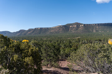 Obraz premium Pecos National Historical Site, View from Ancestral Sites Trail of Glorieta Mesa, Glorieta Pass, and Sangre de Cristo Mountains. Golden cottonwood trees in the autumn.