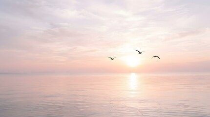 Obraz premium Serene ocean sunset with seagulls flying overhead at dusk