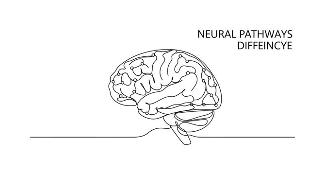 NEURAL PATHWAYS DIFFERENCE. Minimalistic one-line drawing a brain with varied connection lines representing diverse learning processes, continuous single black