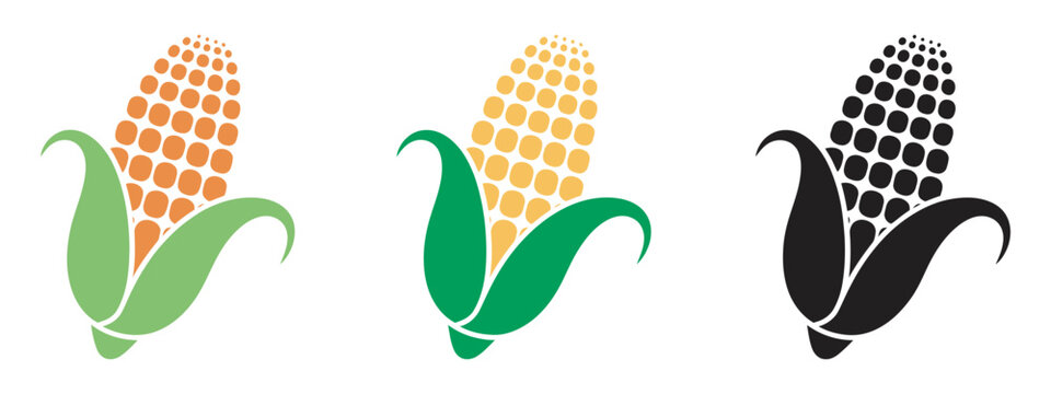 Ear of corn set, fresh agricultural produce symbol, abundance concept design, vibrant food crop illustration, vector isolated collection