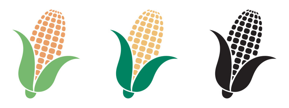 Ear of corn set, fresh agricultural produce symbol, abundance concept design, vibrant food crop illustration, vector isolated collection