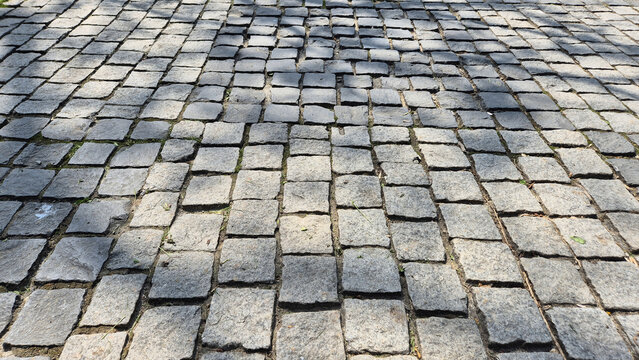A wide perspective shot of a grey cobblestone or stone paver walkway with irregular textures and shadows from nearby trees stretching across the surface.