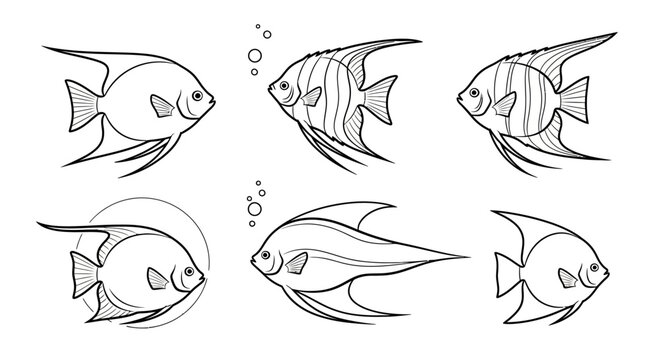 Set of hand-drawn angelfish illustrations for aquatic design