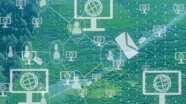 White icons starting from faint node, replicating, connecting across meadow showing network growth