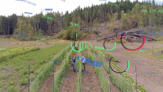 Two co-workers stepping into trellised rows, inspecting crops for harvest, AR gauges tracking zones