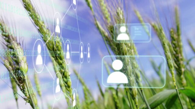 Data feed starting, avatar nodes appearing and linking while wheat drifting, showing crop network