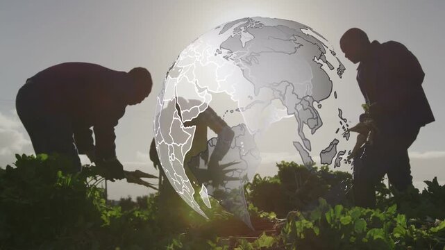 Three male farmers collecting produce under low sun, globe emerging from right, rotating, obscuring