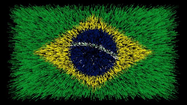 Bandera de Brasil / Bandera Brasile&ntilde;a