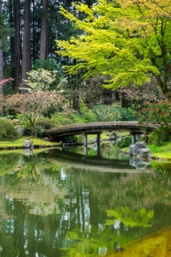 Nitobe Gardens Zen Pond Bridge Reflections vertical. Ponds and bridge in the Nitobe Garden on the campus of the University of British Columbia. 
