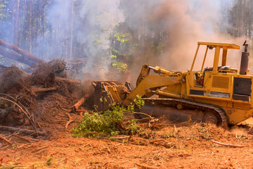 Heavy machinery clears trees debris in forestry work site during deforestation in wooded area © ungvar