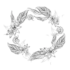 Botanical illustration of lemons with leaves, blossom and citrus slices drawn in graphite pencil style. Hand sketched monochrome artwork isolated on light background for packaging and labels. © asetrova