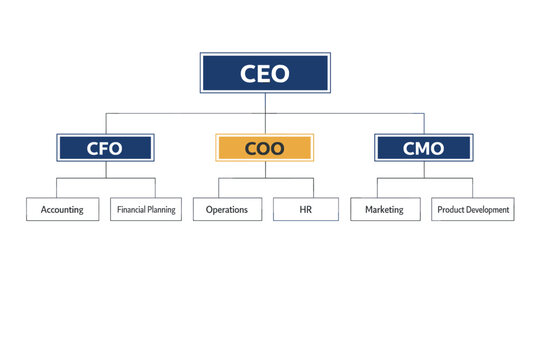 Corporate hierarchy and organizational structure chart concept showing a