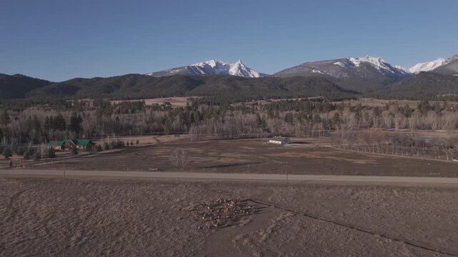 Elk Heard Trapper Peak