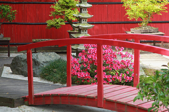 Jardin japonais	