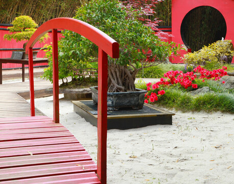 Jardin japonais	