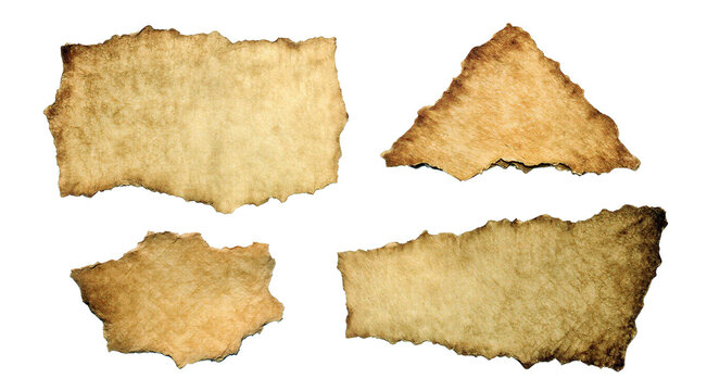 Four pieces of aged crumpled parchment paper with torn edges and vintage texture