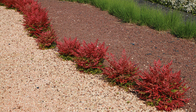 Nandina domestica 'Obsessed&rsquo; et graviers d&eacute;coratifs	