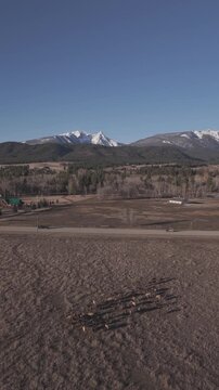 Elk Heard Trapper Peak