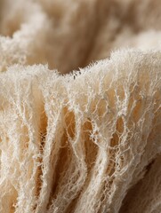 Fototapeta na wymiar Eco-friendly mushroom packaging material with white mycelium texture, closeup studio shot of sustainable biodegradable alternative