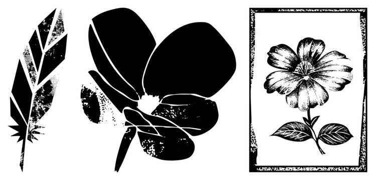 Three black and white designs feather leaf, magnolia, framed blossom in gritty vintage style. Call it &ldquo;flora cutout&rdquo; or &ldquo;botanical glyph.&rdquo; Ideal for tattoo flash or rustic branding. Raw, ha