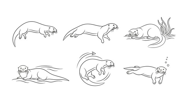 Set of cute otter illustrations in various poses, hand drawn sketch