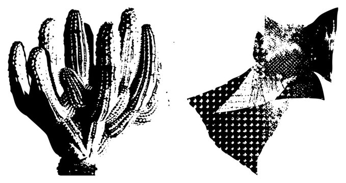 Desert succulent rendered in gritty stencil style, spiky cacti with halftone shading prickly pear, saguaro, or barrel cactus vibes. Perfect for edgy branding, posters, or desert themed merch.