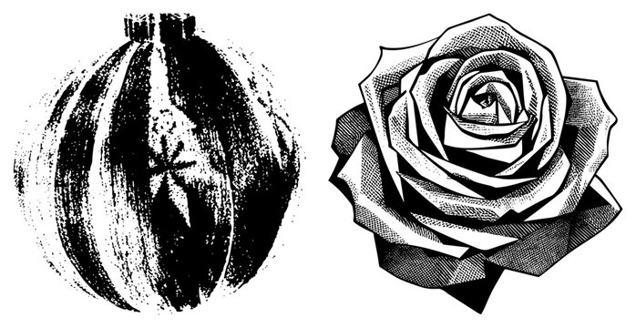 Halftone rose blooms beside a ribbed gourd (winter squash/pie pumpkin), rendered in stark. style evokes vintage tattoo art gourd&rsquo;s texture mimics hand carved linocut. Ideal for au