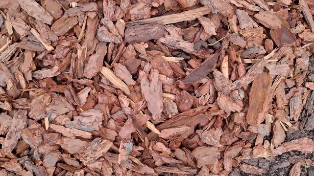 Close-up view of natural brown wood mulch texture. Organic protective covering for garden soil shows various shapes and sizes of bark chips, perfect for landscaping, gardening, and eco themes
