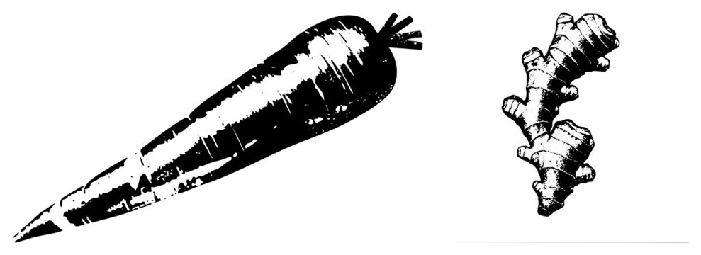 Fresh carrot with leafy top &ldquo;root veg&rdquo; or &ldquo;orange stick&rdquo; paired with knobby ginger rhizome &ldquo;root beer root&rdquo; or &ldquo;ginger knob.&rdquo; High contrast stencil print for bold kitchen decor or spice labels.