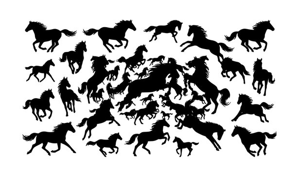 Dynamic black horse silhouettes vector collection with expressive running equine poses isolated on white background