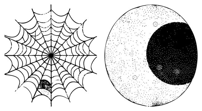 Creepy cobweb hides a spider, paired with a speckled night orb eerie &ldquo;spider&rsquo;s lace&rdquo; for spook season. Grainy texture, stark contrast. Ideal for haunted signage or retro horror posters.