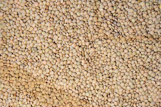 Textura de lentejas secas crudas, legumbres saludables para fondo de dise&ntilde;o.