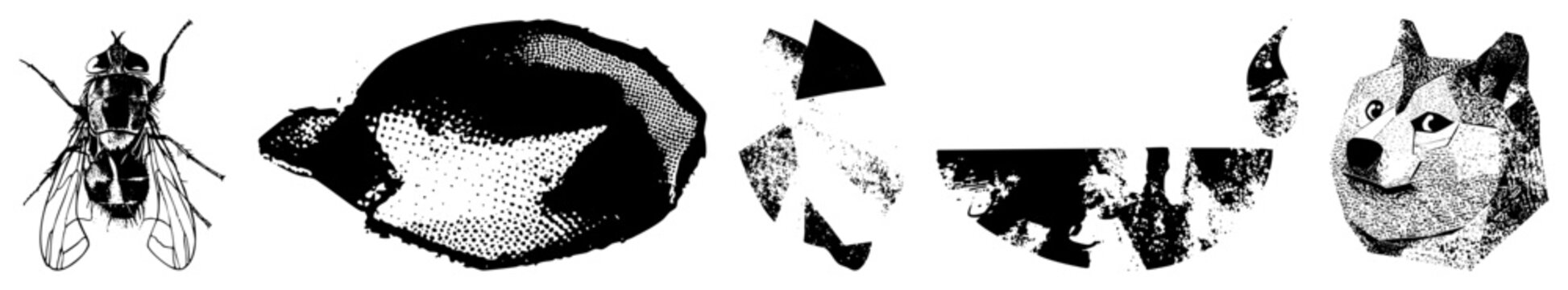 Gritty halftone fly near a fragmented geometric shape, while a stylized dog muzzle stares sharp, mutt, hound, or pooch all rendered in stark for bold visual impact.