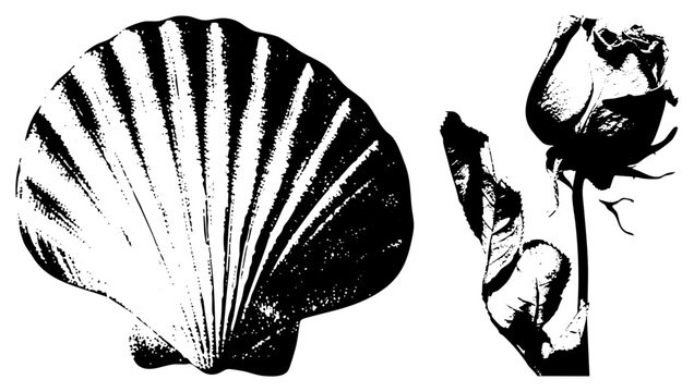 Stylized sea death rose in gritty halftone. Evokes coastal melancholy, romantic decay ideal for tattoo flash or gothic branding.