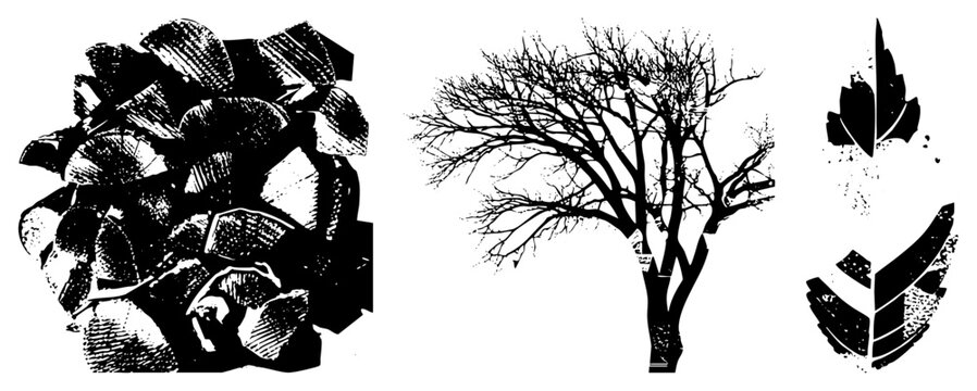 Cracked leaf glyph, splintered foliage, bare winter tree halftone grunge decay. Folk names leaf, twig ghost, broken frond, splinter leaf. Ideal for eco branding or dark nature posters.
