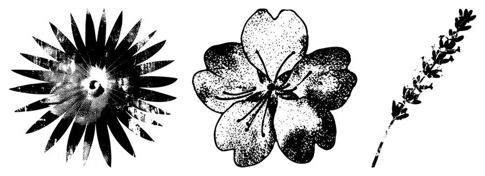 Three halftone flowers sunburst, five petal, lavender sprig. Called ink blot flora or printer&rsquo;s bouquet ideal for retro prints and decor.