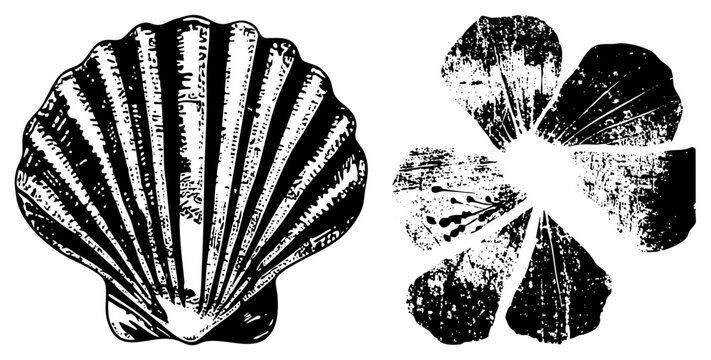 Rugged sketch, beachcomber&rsquo;s prize, nautical relic in distressed ink. Sea blossom bloom coastal grit speckled, sharp edged, weathered. Ideal for surf shack decor or ocean branding.
