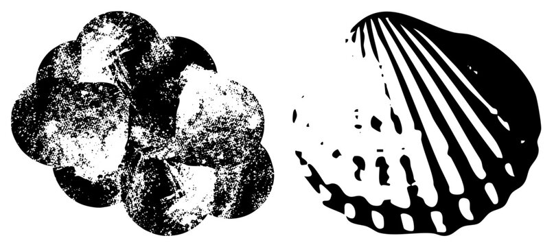 Coastal set gritty, beachcomber finds, ocean treasures in bold black and white. Left mimics driftwood right evokes scallop ribs ideal for surf brands or nautical decor.