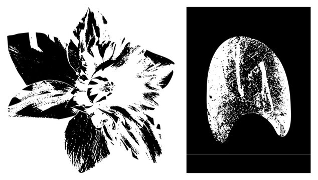 Ragged bloom in stencil style, nicknamed "grit blossom" or "ink splatter flower." Petals mimic halftone screen prints for a punk vibe ideal for edgy branding or streetwear.