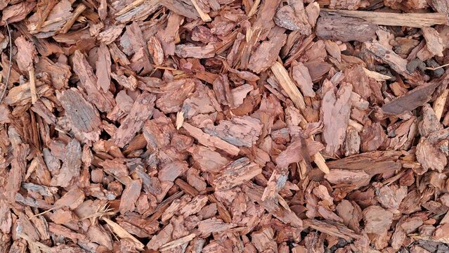 Close-up view of natural brown wood mulch texture. Organic protective covering for garden soil shows various shapes and sizes of bark chips, perfect for landscaping, gardening, and eco themes